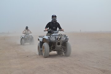 Safari